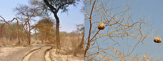 Sudan